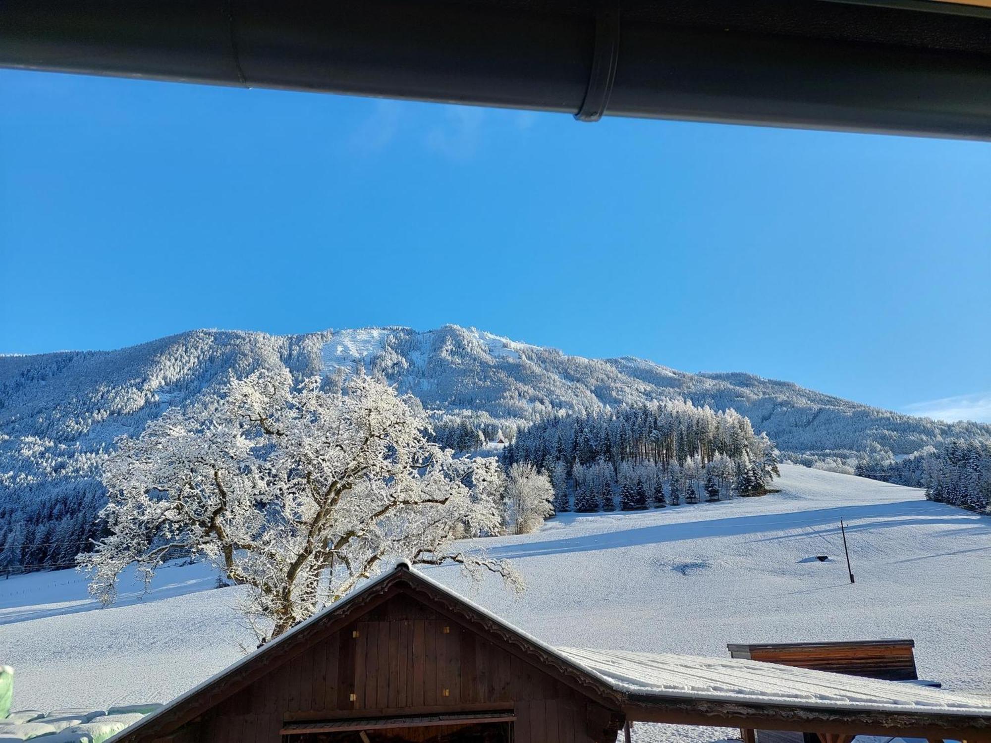 Hofpower'S Mountain Feeling Apartment Hinterstoder Bagian luar foto