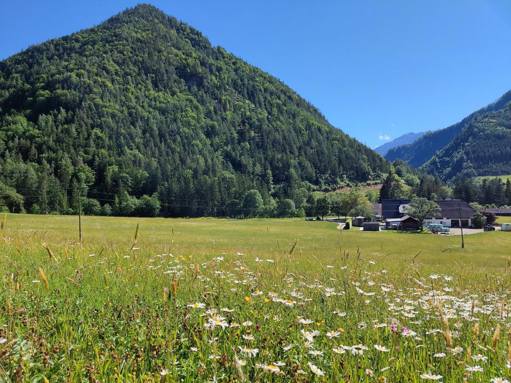 Hofpower'S Mountain Feeling Apartment Hinterstoder Bagian luar foto