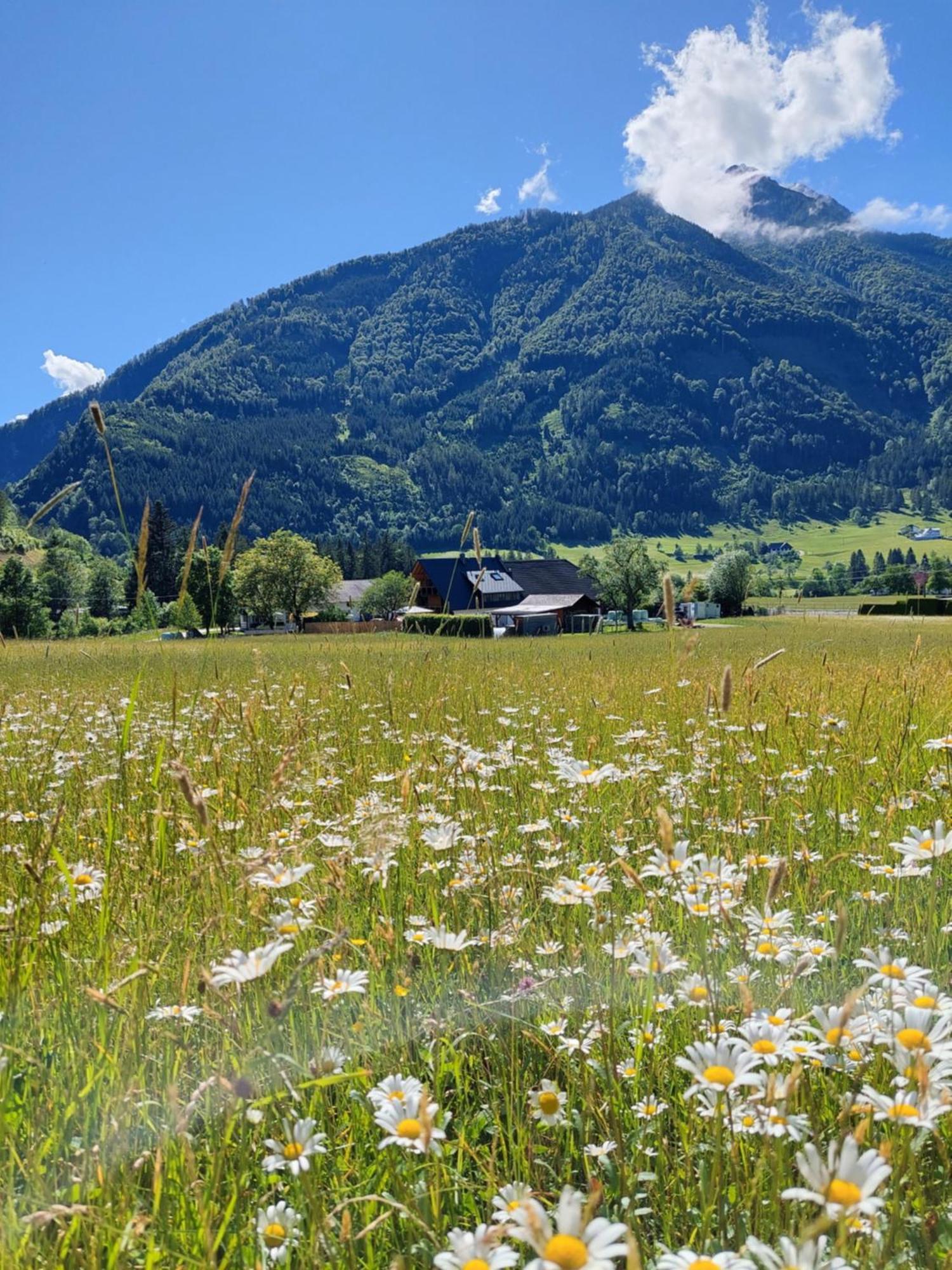 Hofpower'S Mountain Feeling Apartment Hinterstoder Bagian luar foto