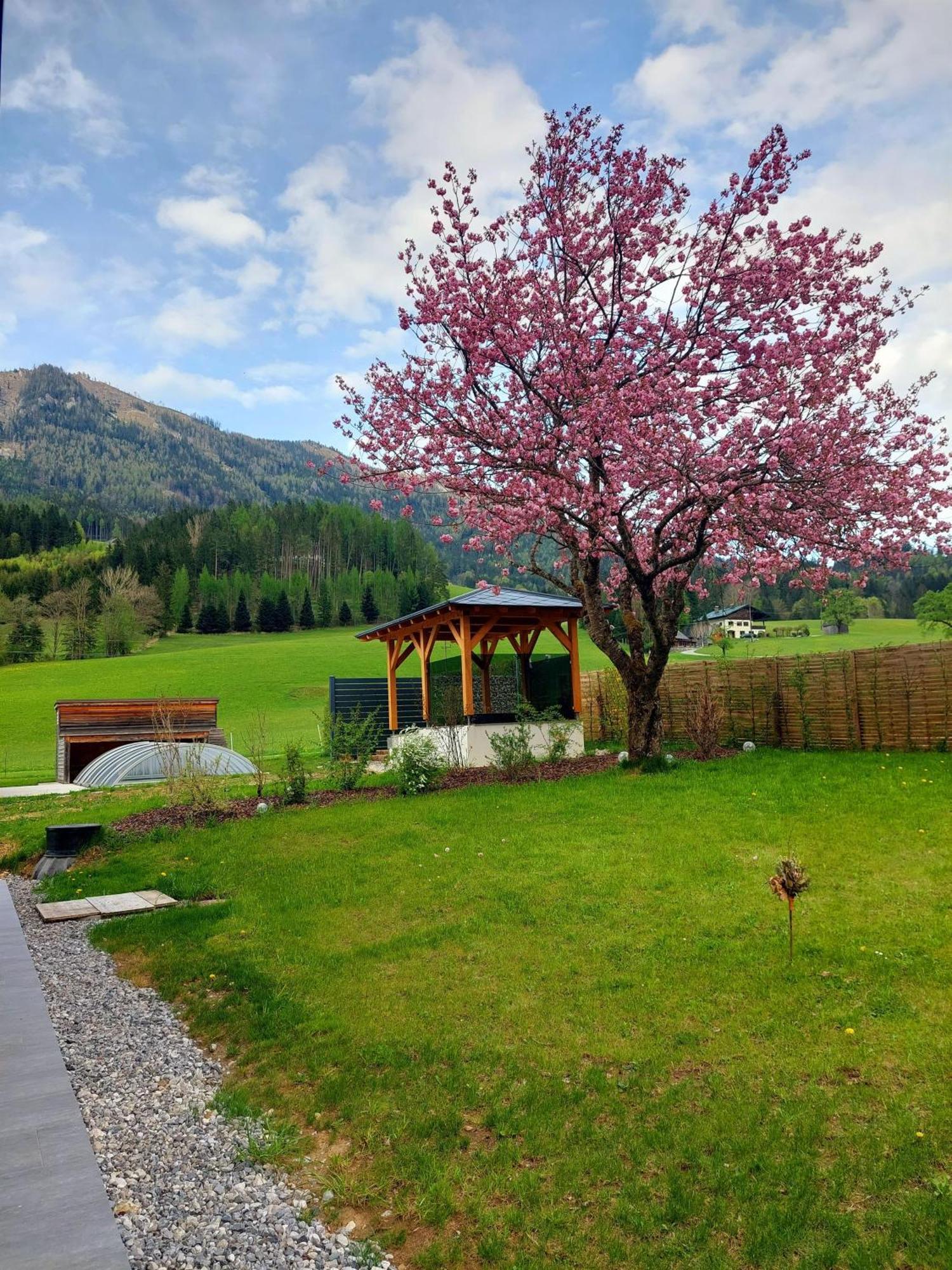 Hofpower'S Mountain Feeling Apartment Hinterstoder Bagian luar foto